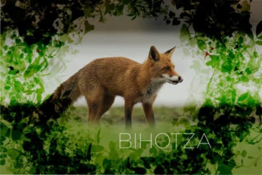 "Bihotza, la vida en Álava como nunca la habías visto"