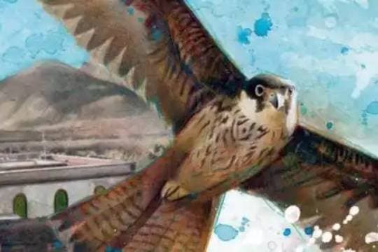 Txoriastea 2026: "Centinelas del viento"