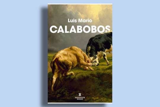 Club de lectura contemporánea (2026-2027): "Calabobos" (Luis Mario)