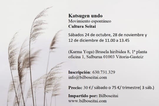 "Cultura Seitai, Katsugen undo y Esquema Osei"