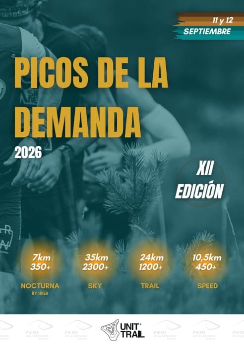 PICOS DE LA DEMANDA