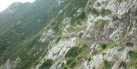 - MADEIRA - del 5 al 12  ( 7 noches)