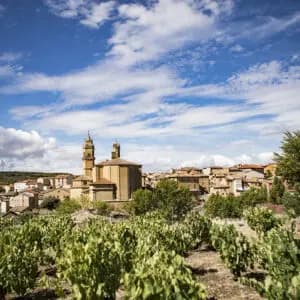 Jaibus Vital a Fiestas de Elciego