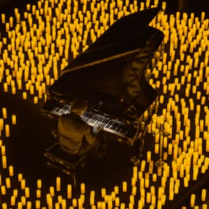 Candlelight: La ley innata