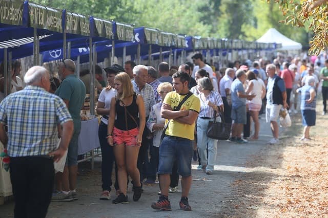 Feria de Angosto