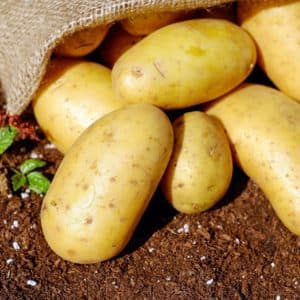Feria de la Patata a Valdegovía