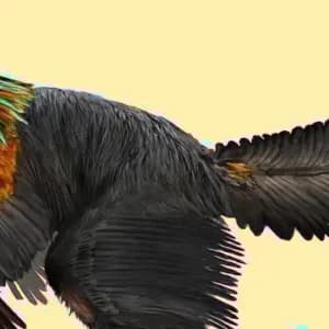 Actividad familiar: Taller 3Ps: picos, patas, plumas