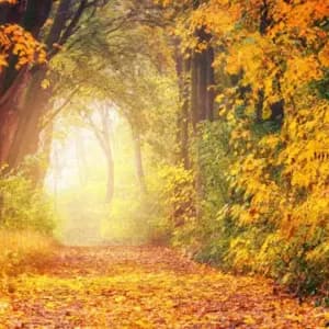 Equinoccio de otoño