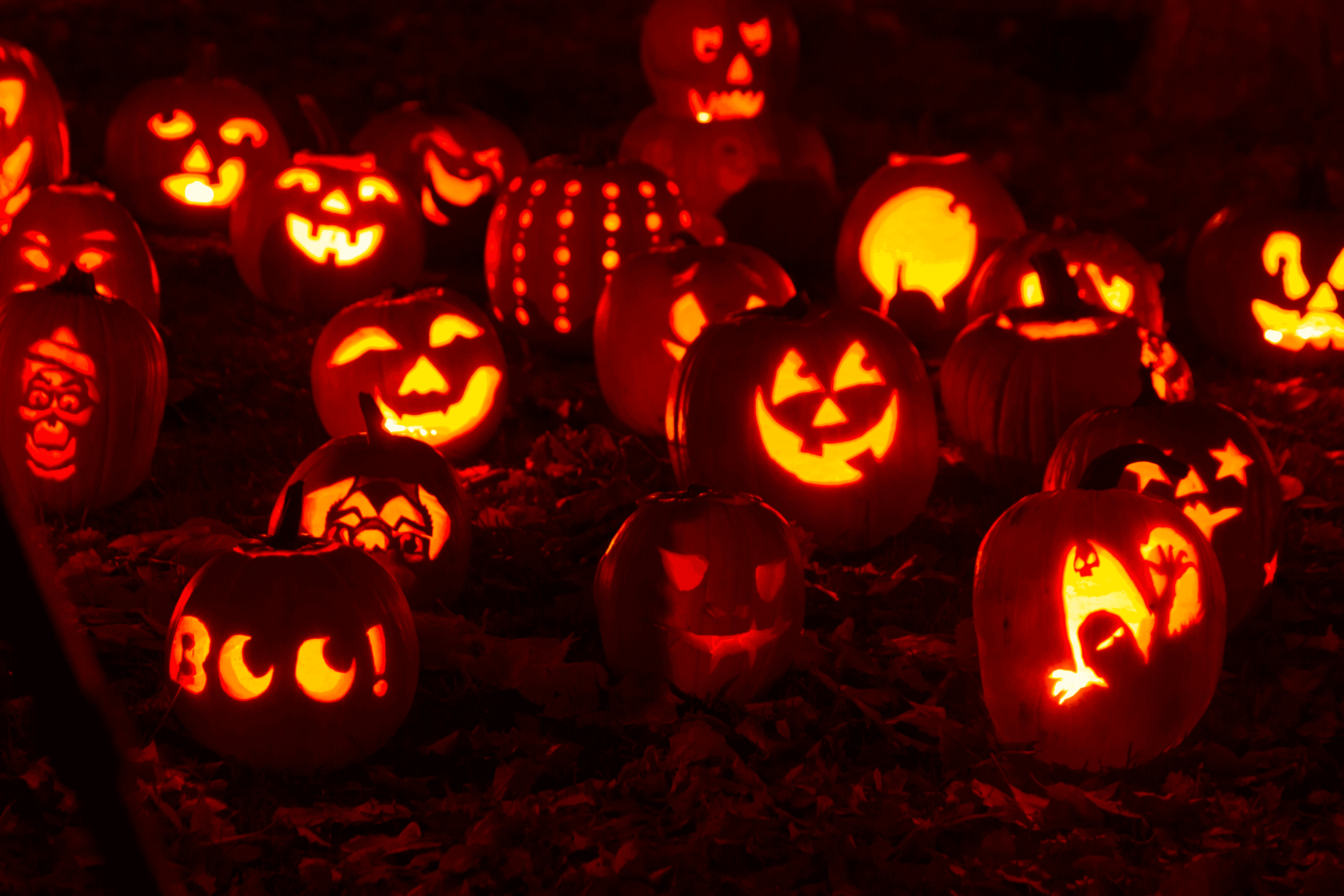 Halloween