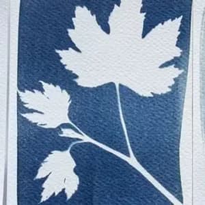 Actividad familiar: Arte y naturaleza en azul