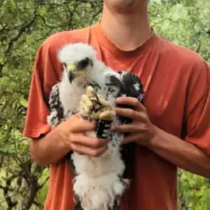 Vivir mirando la naturaleza: Un proyecto de vida