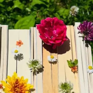 Las raíces, floraciones y caminos del amor