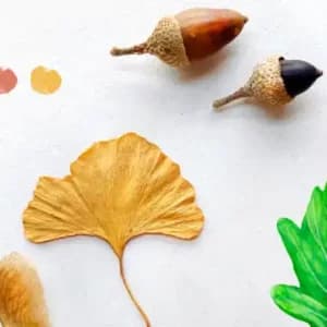 Bitácora de otoño: Acuarela naturalista