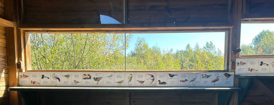Recorrido naturalístico: Salburua y sus aves