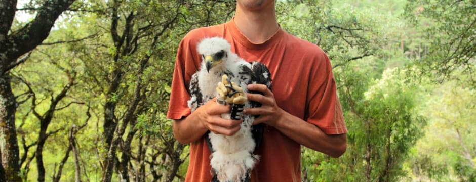 Conferencia: Vivir mirando la naturaleza: Un proyecto de vida