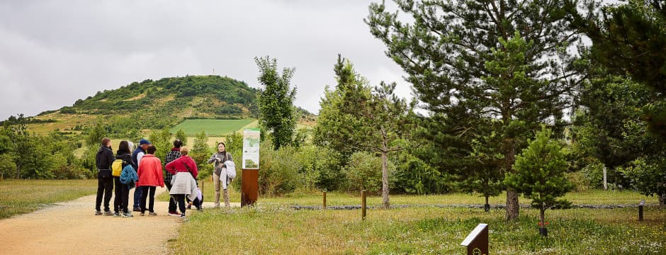 Participa de las labores de jardinería y seguimiento del Jardín Botánico de Olarizu
