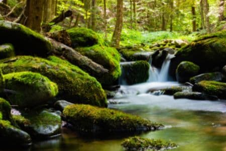 Exposición: Los secretos del río