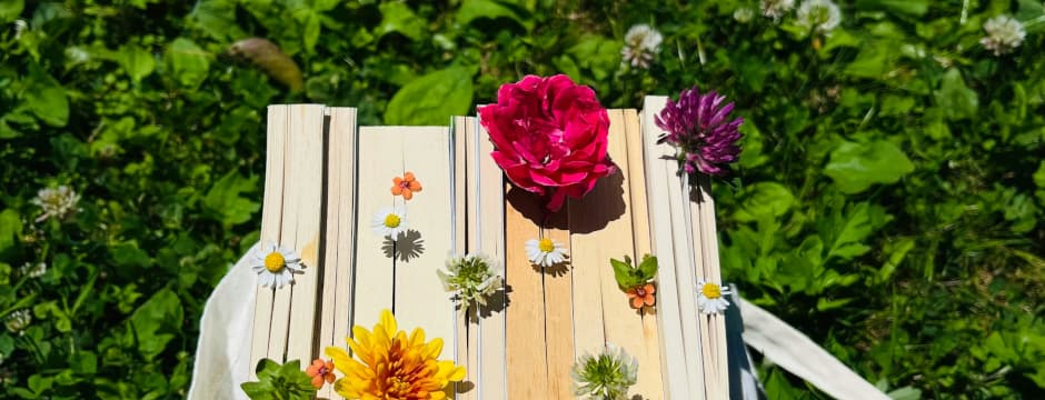 Taller: Las raíces, floraciones y caminos del amor