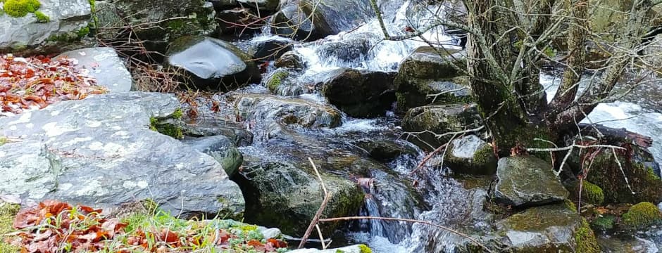 Recorrido naturalístico: Bioaventuras - El viaje del agua