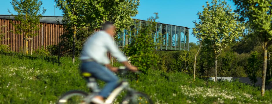 Recorrido naturalístico: Recorrido en bici – Salburua