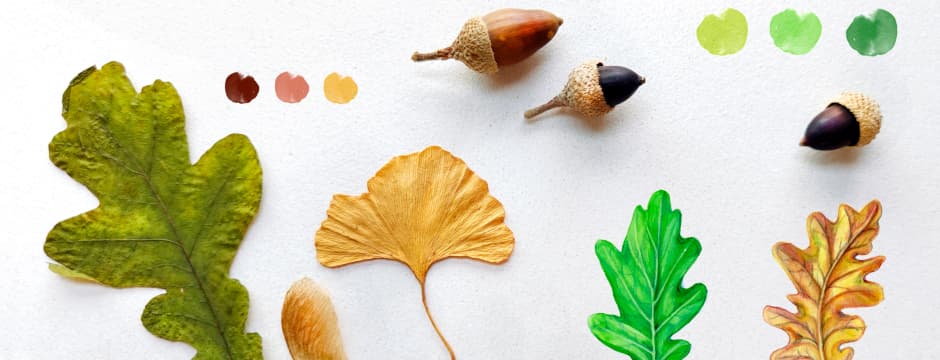 Taller: Bitácora de otoño: Acuarela naturalista