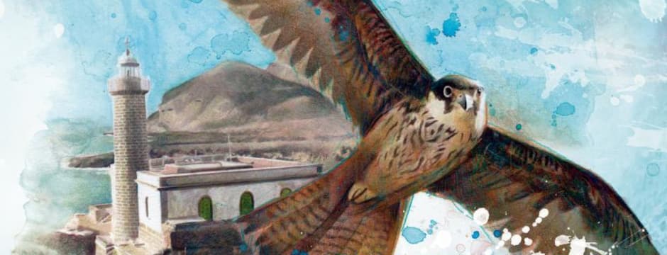 XIII TXORIASTEA 2026 - Cine Medioambiental  - "CENTINELAS DEL VIENTO"