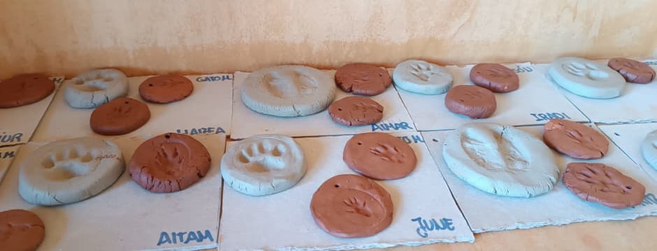 Actividad familia: Urratsez urrats - Aztarnak eta arrastoak