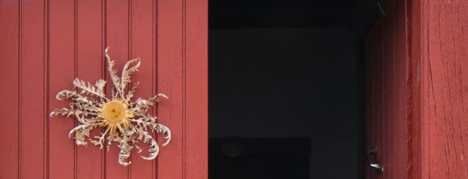 Charla: muerte y ritual. Cultura funeraria en Álava