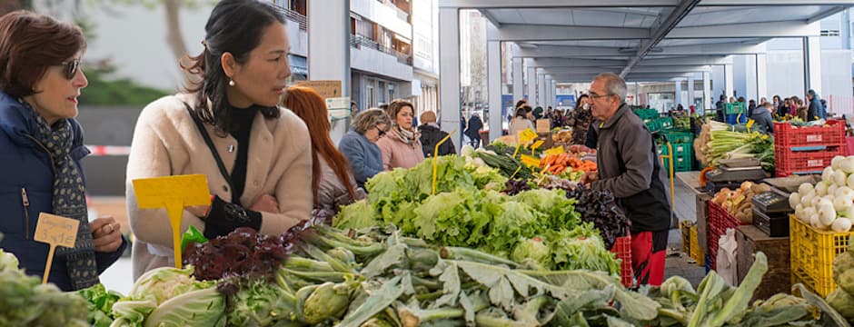 Mercado de la Plaza Santa Bárbara