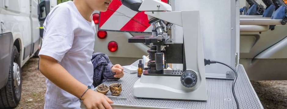 Recorrido naturalístico: Rutas micológicas con laboratorio móvil