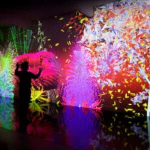 El jardín en el arte multimedia y digital: de la naturaleza al algoritmo