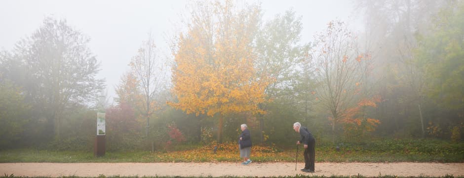 Recorrido naturalístico: Visita guiada al Jardín Botánico de Olarizu: COLORES DE OTOÑO