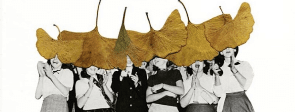 Taller: Creación de collages botánicos