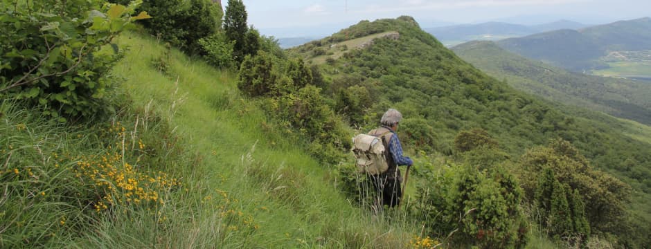 Actividad familia: Sumérgete en la naturaleza - Aprendiendo autoprotección