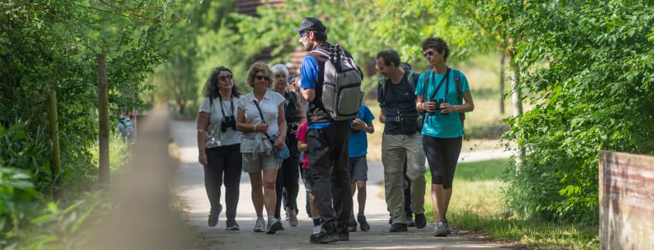 Actividad familia: Salburua y sus aves en familia