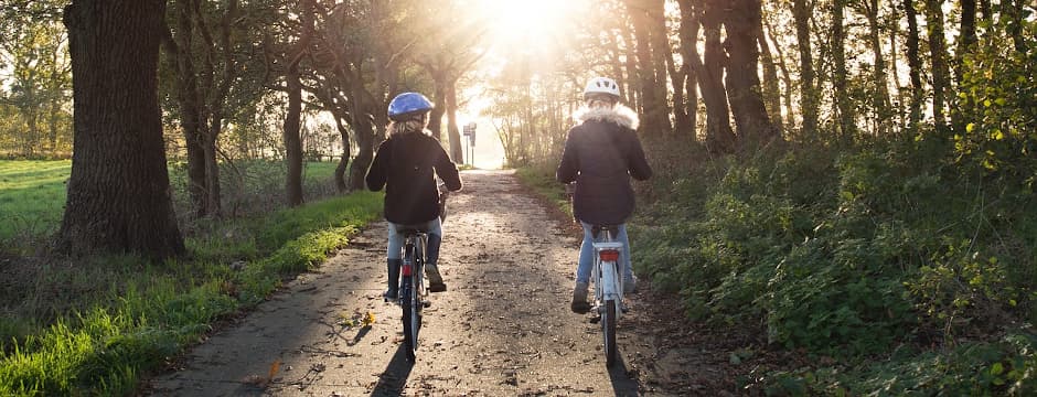 Recorrido naturalístico: Salburua en invierno, en bicicleta